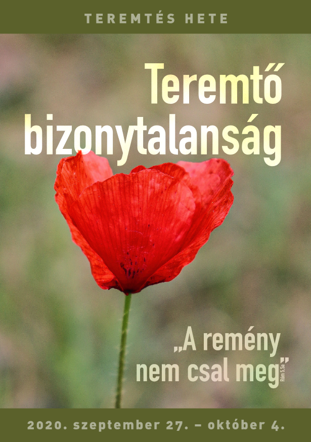 Screenshot_2020-08-28 Teremtes hete 2020 - design - Teremtes-hete_2020_WEB pdf