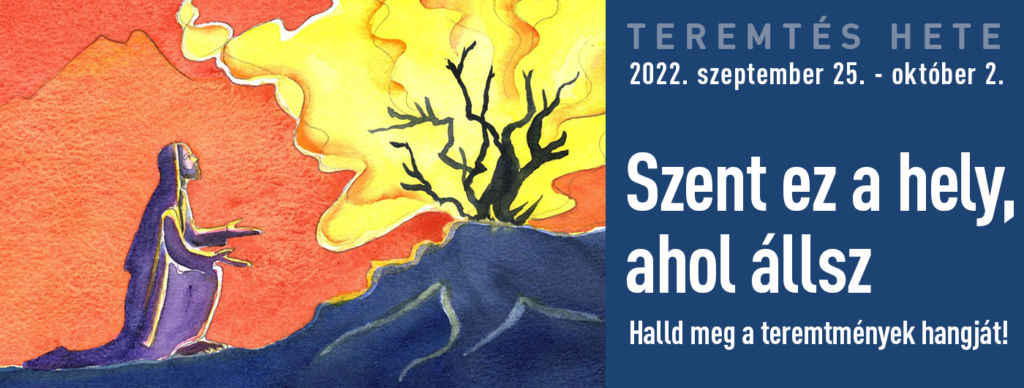teremtes_hete_2022