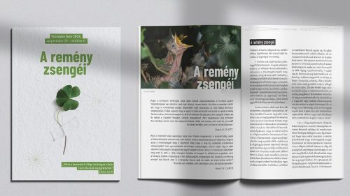 teremtes_hete_2024_segedanyag_16_9